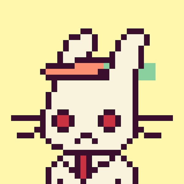 RareBunniClub tweet media