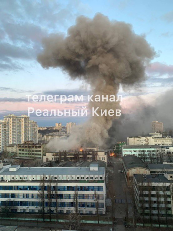 𝑷𝒆𝒂𝒄𝒉𝒑𝒊𝒏𝒌 💖🍑 🇺🇦 tweet media