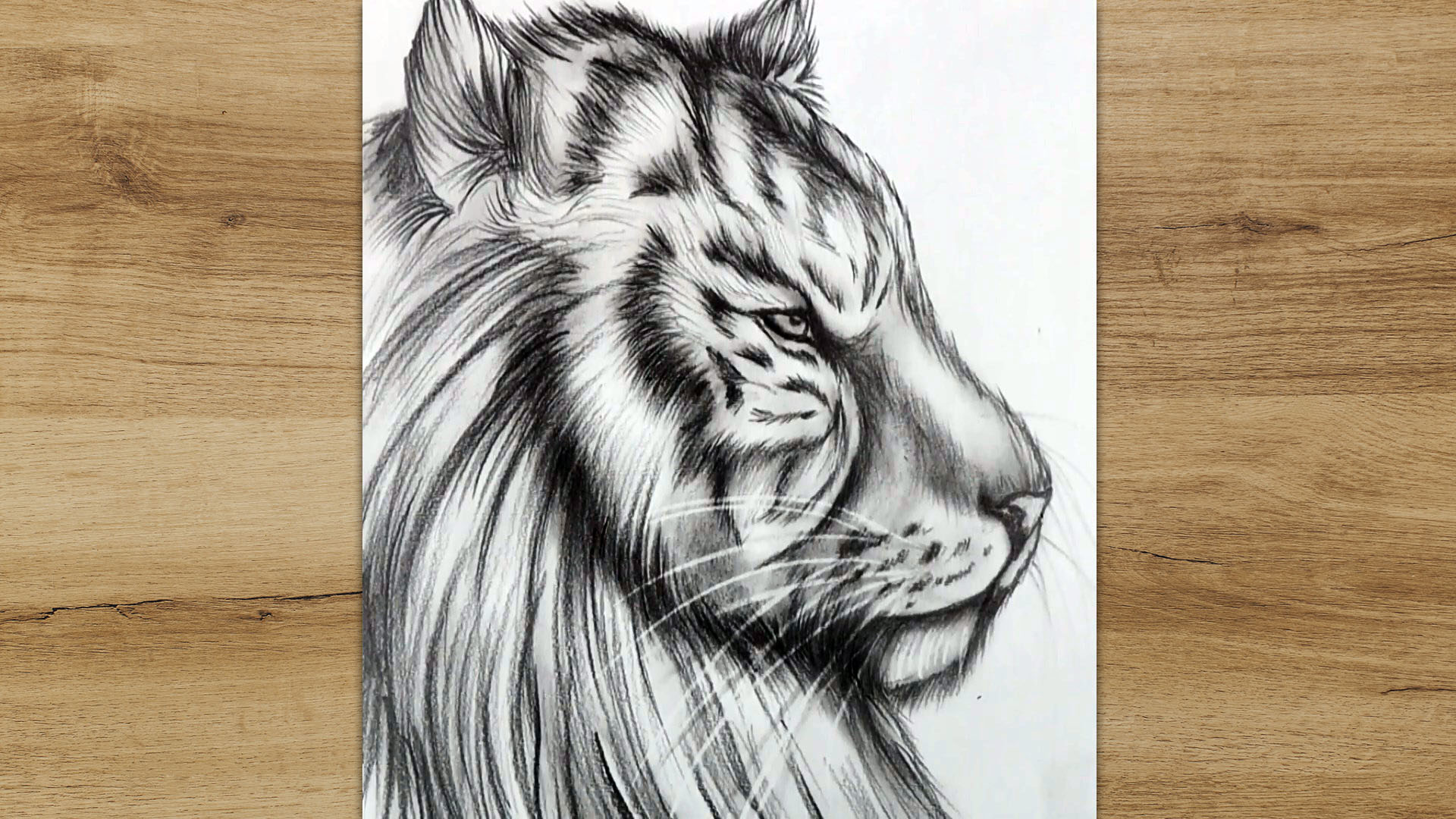 How To Draw Tiger  YouTube Studio Sketch Tutorial  YouTube