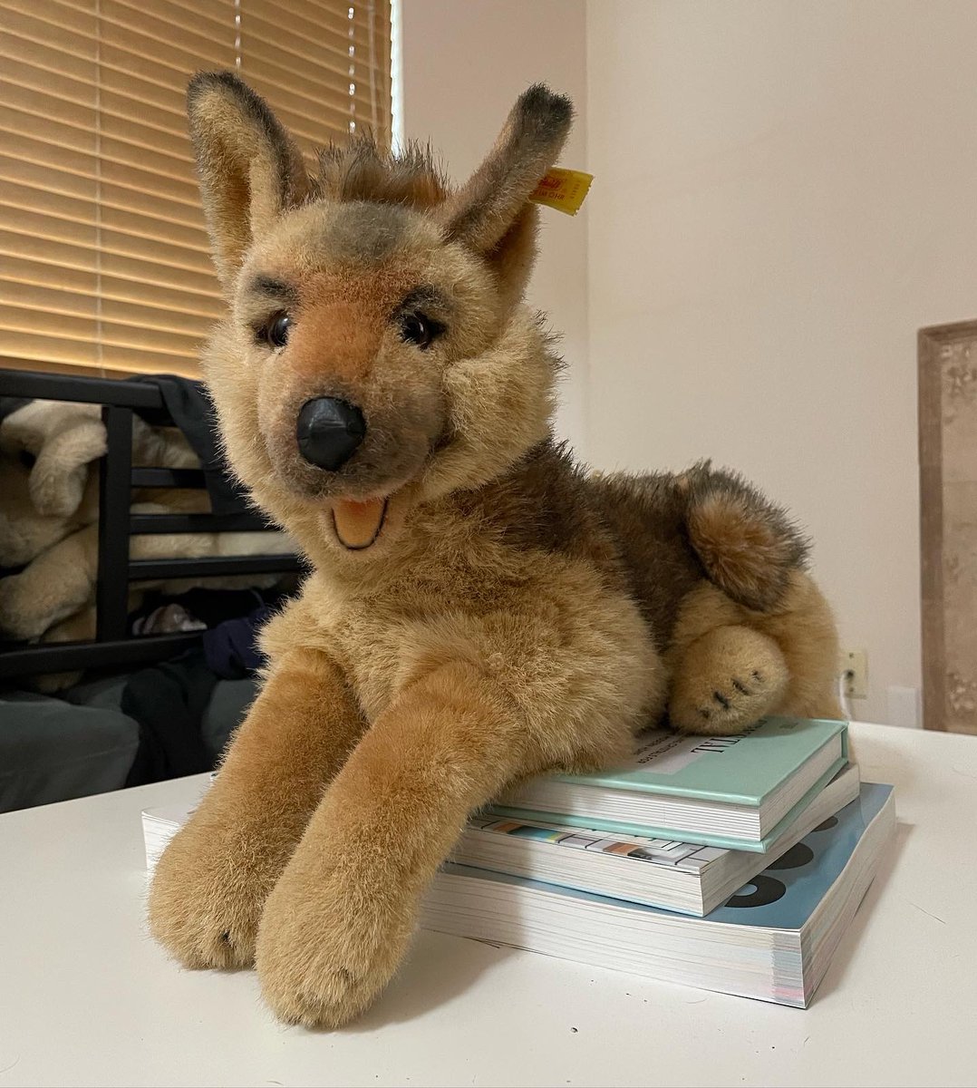 akitas237's tweet photo. Plush for sale #plüti #steiff #forsale https://t.co/lIdvy8gYR2