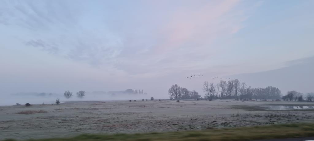 moonaaa's tweet photo. Goedemorgen slaapkoppen βοΈπ
#stemdag vandaag!
Vanuit het #stembureau in #Herxen wens ik jullie een fijne dag. De gemeente doet ertoe! https://t.co/AZjywtVu1o