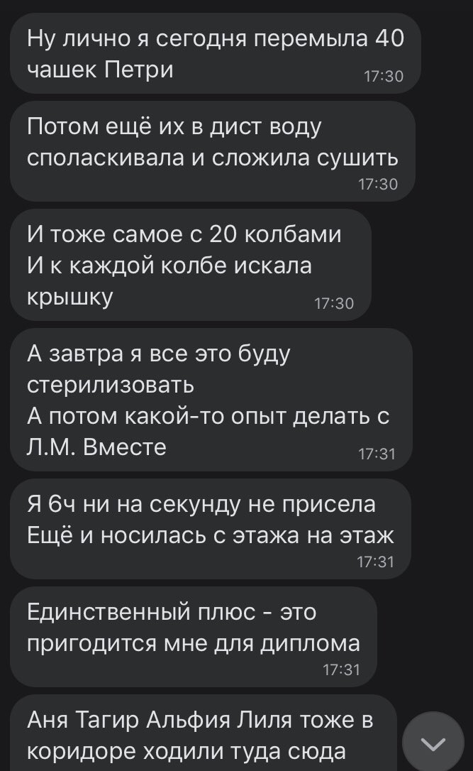 Germione_'s tweet photo. радует, что мне для диплома нужно просто поизучать законы, а не мыть колбы и бегать по этажам https://t.co/EGJDAEn9oB
