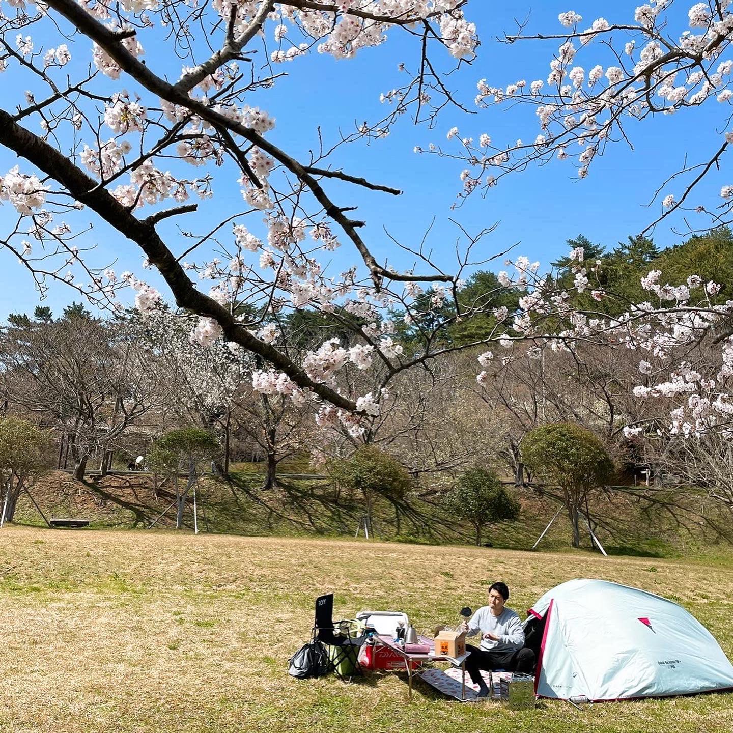 これからの季節にぴったり❣️LUHANA 花火 アウトドア チェア キャンプ これからの季節にぴったり❣️LUHANA 花火 アウトドア チェア