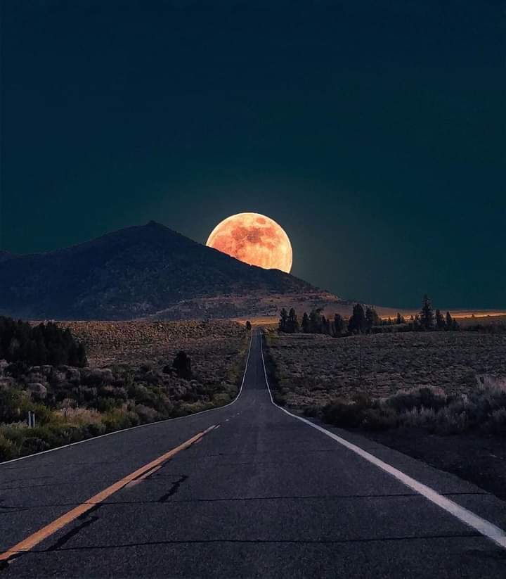 roise_mila's tweet image. The way to the moon, Yosemite, California, USA 😯😯😯
