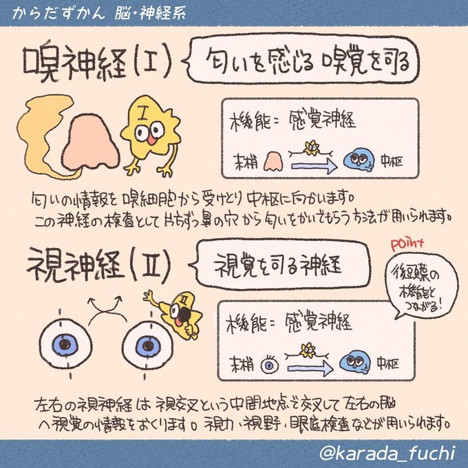 専用 細胞検査士 資格認定試験 筆記試験 過去問 11年分 分野別まとめ 参考書 Gruposignus Com Br