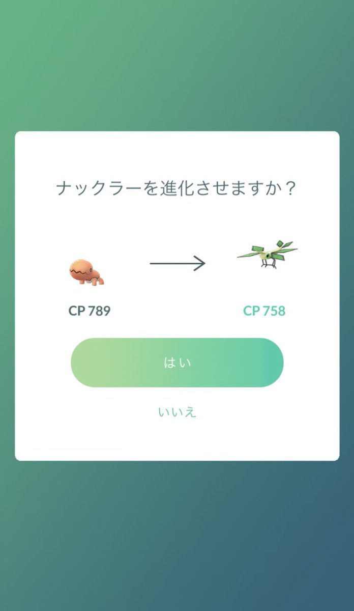 ミニリュウ文鳥𓅪 Mini Bunchoo Twitter