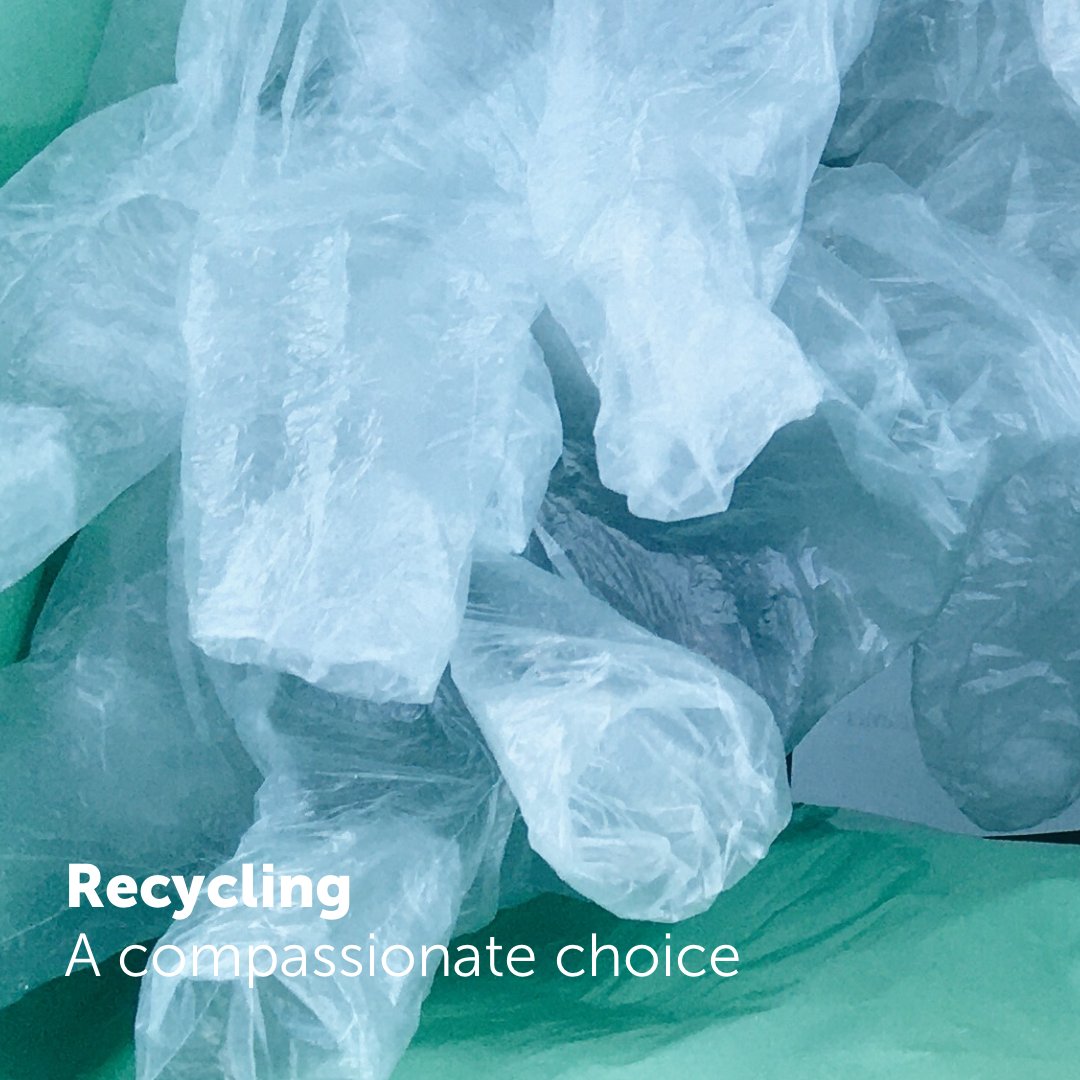 Tweet_ACTAsia's tweet photo. Asia has seen successful examples of recycling. For example, Taiwan was known as ”Garbage Island” in the early 1990s with a 5% recycling rate, but now Taiwan’s recycling rate is 55%. @sharan_india @animalrights_JP @GoodFoodFun #CCN #Recycle #Waste #NoMoreWaste #Trash #GreenAsia https://t.co/NppDVHf1ed