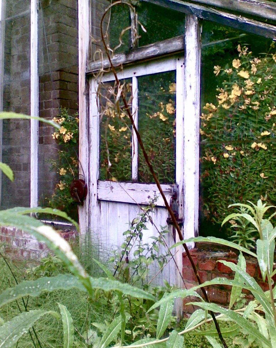 When greenhouses are forgotten. So romantic! 
-
#grimart
<a href="/GrimArtGroup/">Grim Art</a>