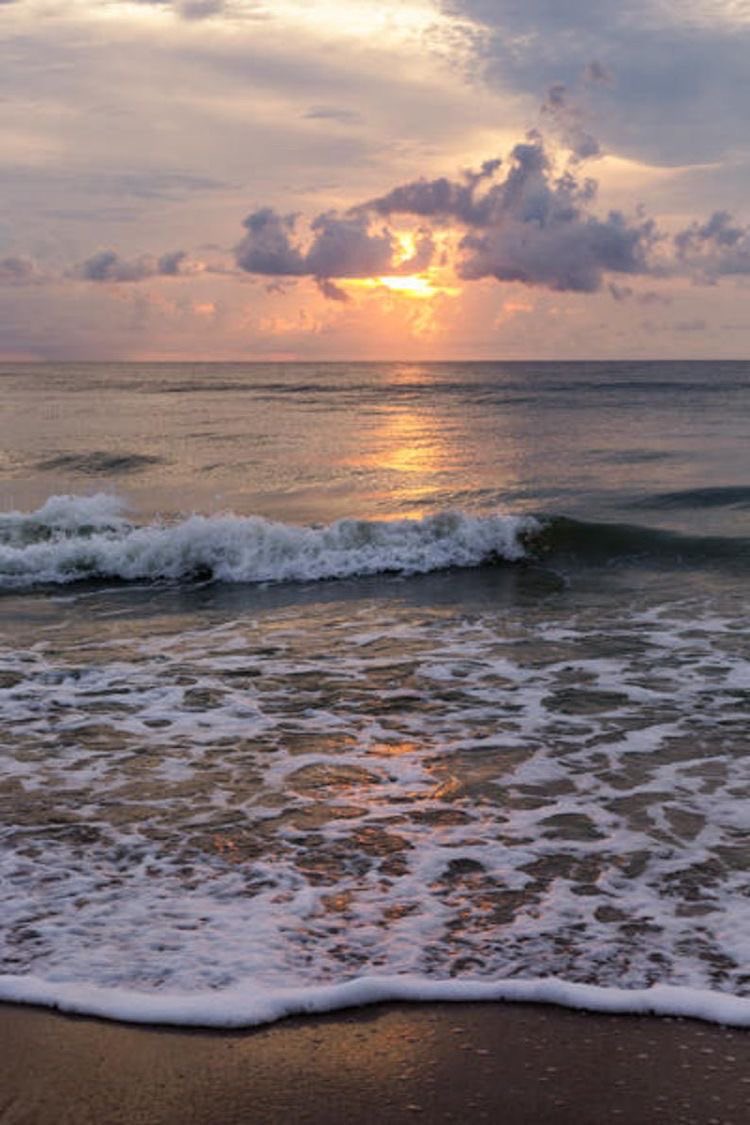 piitures's tweet photo. where I’d rather be https://t.co/9gTgQ8DVBK