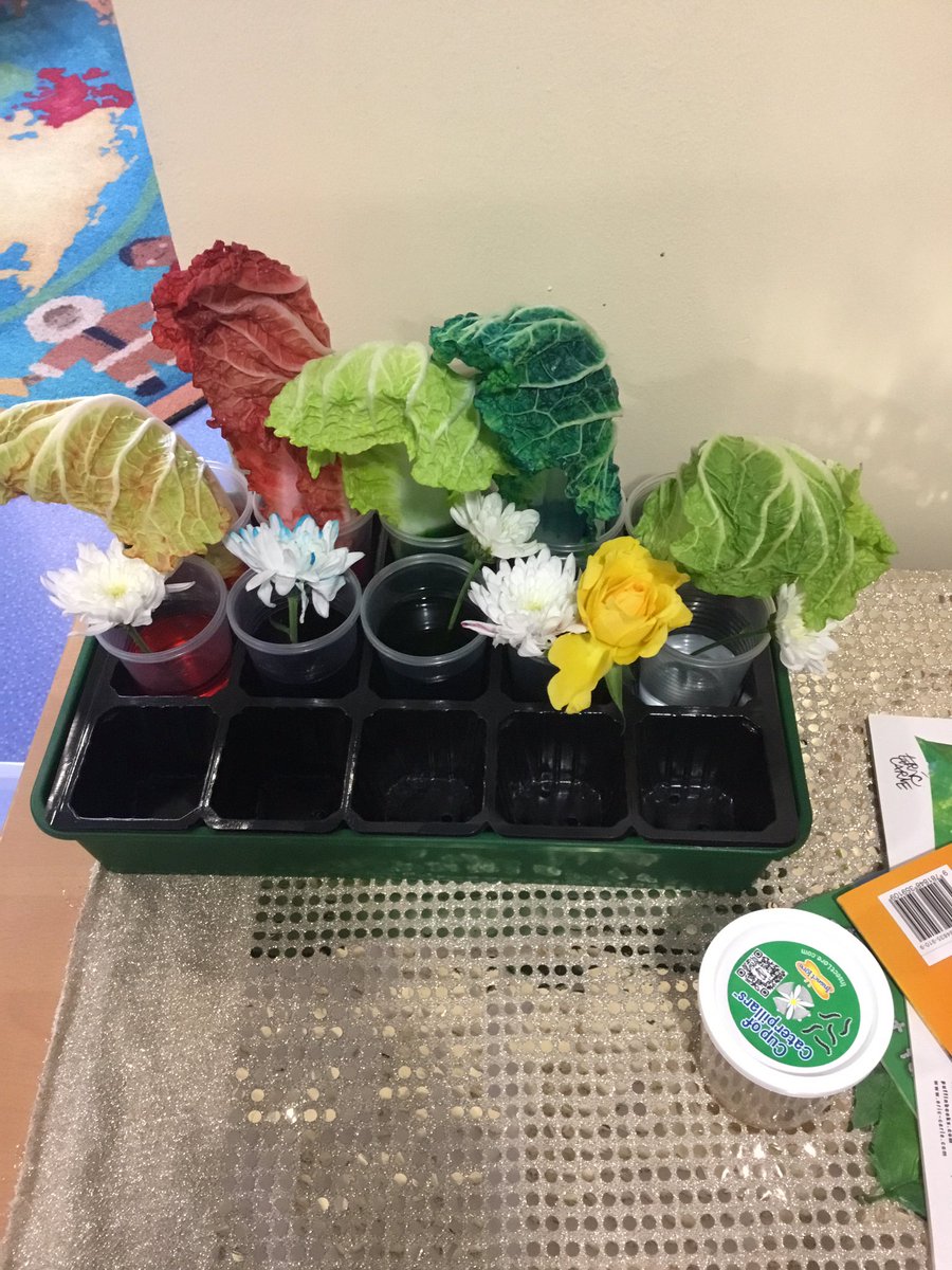 BSPDPreSchool's tweet photo. The preschool children have enjoyed doing lots of experiments this week based around growing. We have been testing our predictions and enjoying observing what has happened. #BritishScienceWeek #ScienceWeek #eyfsscienceweek https://t.co/LyxPldNV1s