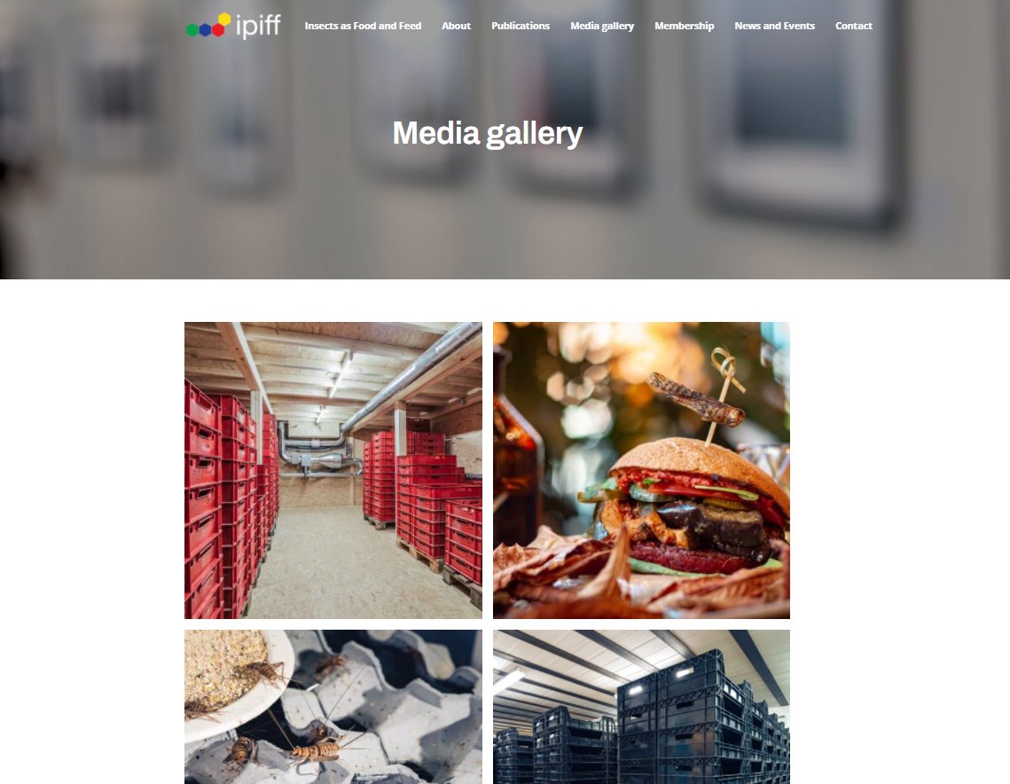 IPIFF_org's tweet image. 🐛🦗Have you ever wondered how #insects are farmed in Europe?

💡In almost two years of the campaign #insectfarmingFriday, IPIFF was pleased to share pictures of insect facilities to shed the light on this innovative and growing sector.

1/2