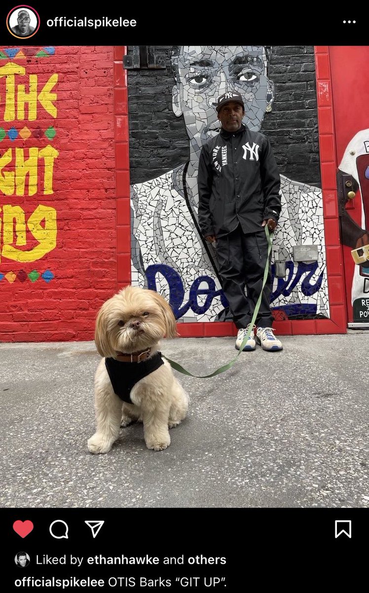 joshuagynther's tweet photo. I’m sorry but can we talk about this photo of Spike Lee’s dog 😂 https://t.co/RtIuWyme0Y