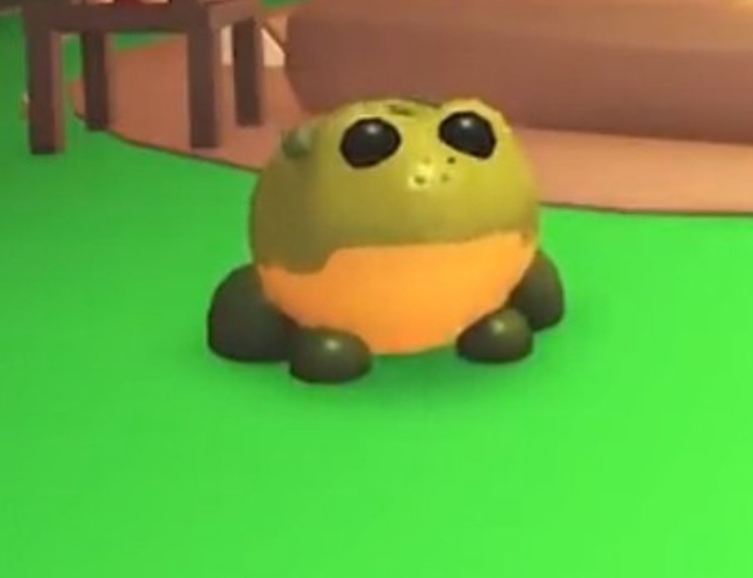 Pickle is coming tomorrowwww!!🐸