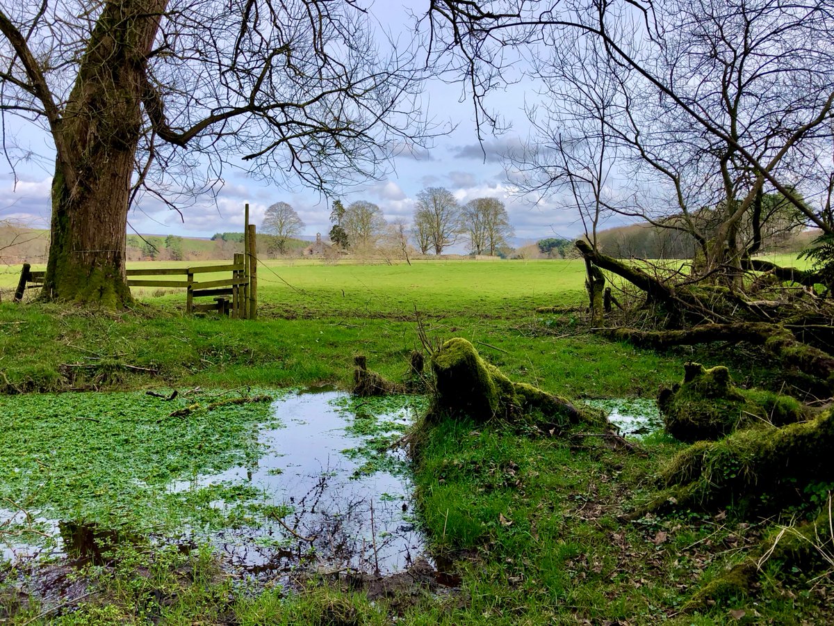 This is the magnificent view that greeted our members fishing on the River Eamont yesterday, opening day on our Lancashire &amp; Cumbrian beats. Conditions were the best for an opening day for many a year, which encouraged a few LDO's &amp; MB's to hatch, and an odd trout to the net.