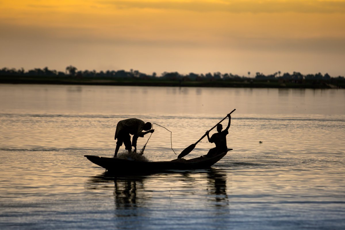 MozaikNFT tweet media