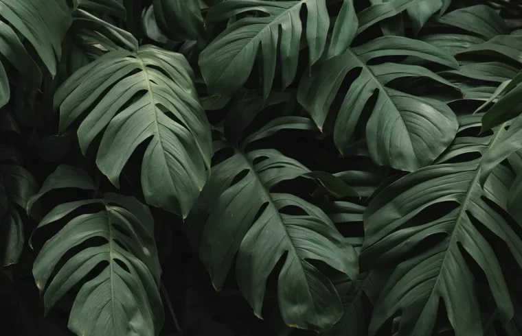 🌳 𝐺𝑟𝑒𝑒𝑛 𝐷𝑒𝑎𝑙 𝑒𝑢𝑟𝑜𝑝𝑒𝑜 𝑒 𝑡𝑟𝑎𝑠𝑓𝑜𝑟𝑚𝑎𝑧𝑖𝑜𝑛𝑒 𝑑𝑒𝑙𝑙𝑒 𝑐𝑜𝑚𝑝𝑒𝑡𝑒𝑛𝑧𝑒

#EuropeanGreenDeal #Europe #Competenze #Skills
🌀  𝐒𝐜𝐨𝐩𝐫𝐢𝐚𝐦𝐨 𝐝𝐢 𝐩𝐢𝐮̀ 𝐧𝐞𝐥𝐥'𝐚𝐫𝐭𝐢𝐜𝐨𝐥𝐨 🌀 

diariodellaformazione.it/news/green-dea…