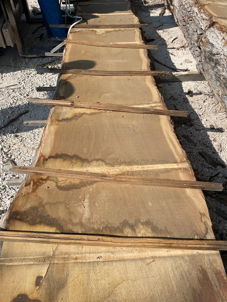 borderuk's tweet photo. Kiln Dried, 54mm, QBAA, Veneer Grade, French Oak
7.5 - 8.4 meters long!

#timbermerchant #woodgrain #woodworking #woodcraft #carpentry #airdriedoakbeams #liveedge #liveedgewood #kilndriedhardwoods #waneyedge #burroak #pippyoak #kilndried #joinery #pefc #oak https://t.co/gS7aw6BYBR