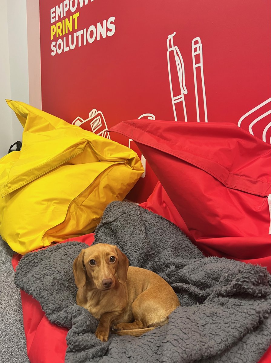 Empine Group tweet media