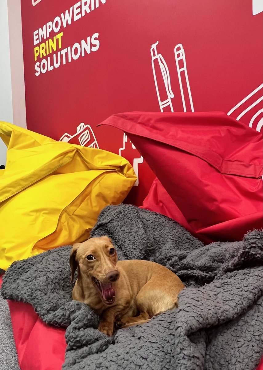 Empine Group tweet media