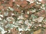 SneezyFey's tweet photo. Not the best, cause my microscope is not good, but as an idea... Mint Money and Black Metal Mixtape, ladies and gents! @nailogical @holotaco https://t.co/nkX39F6NMA