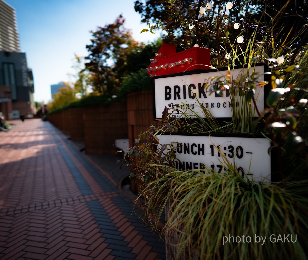 GakuRosh's tweet photo. BRICK END
恵比寿ガーデンプレイスの端っこ
この先にたまーに行くバーがあるんです•••
#ygp
#恵比寿ガーデンプレイス
#brickend
#α7IV
#sel24f14gm https://t.co/i9CeXPF04U
