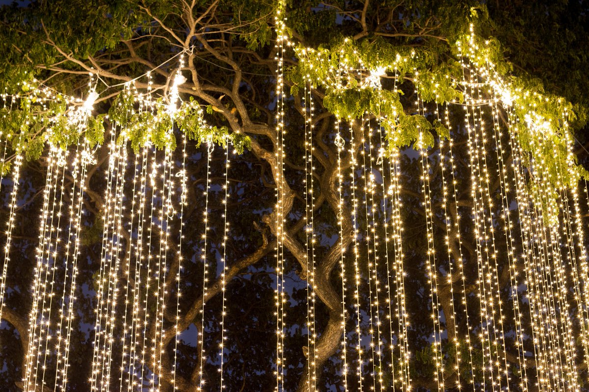 VitalElectrical's tweet image. Whether it’s relaxing in the backyard with family and/or neighbors or working on that long-overdue DIY project.  Contact our professional electricians today when in doubt. (203-257-7569). 

#electricaltips #homeowner
#electricalknowledge
#electrical #electrician
#connecticut #NY