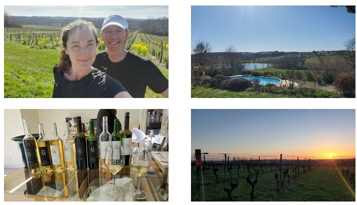 whichtrainingcamp tweet media