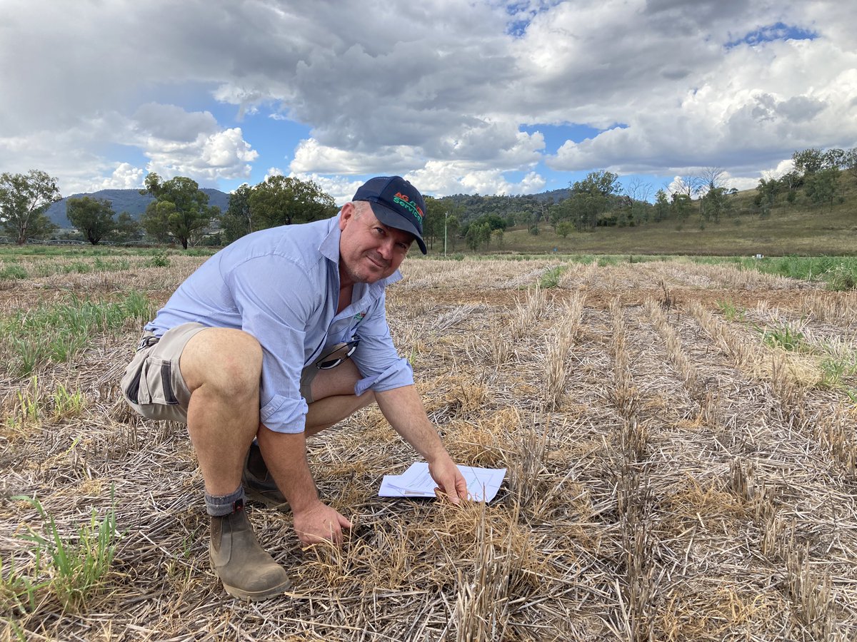 agnvet's tweet photo. AGnVET Services agronomists joined other AgLink affiliates in Tamworth this week for the northern agronomy conference.
#cropwalkwednesday #AGnVET #bettacrop @PursehouseCo @mcgregorgourlay https://t.co/w4ZcHNr2LV