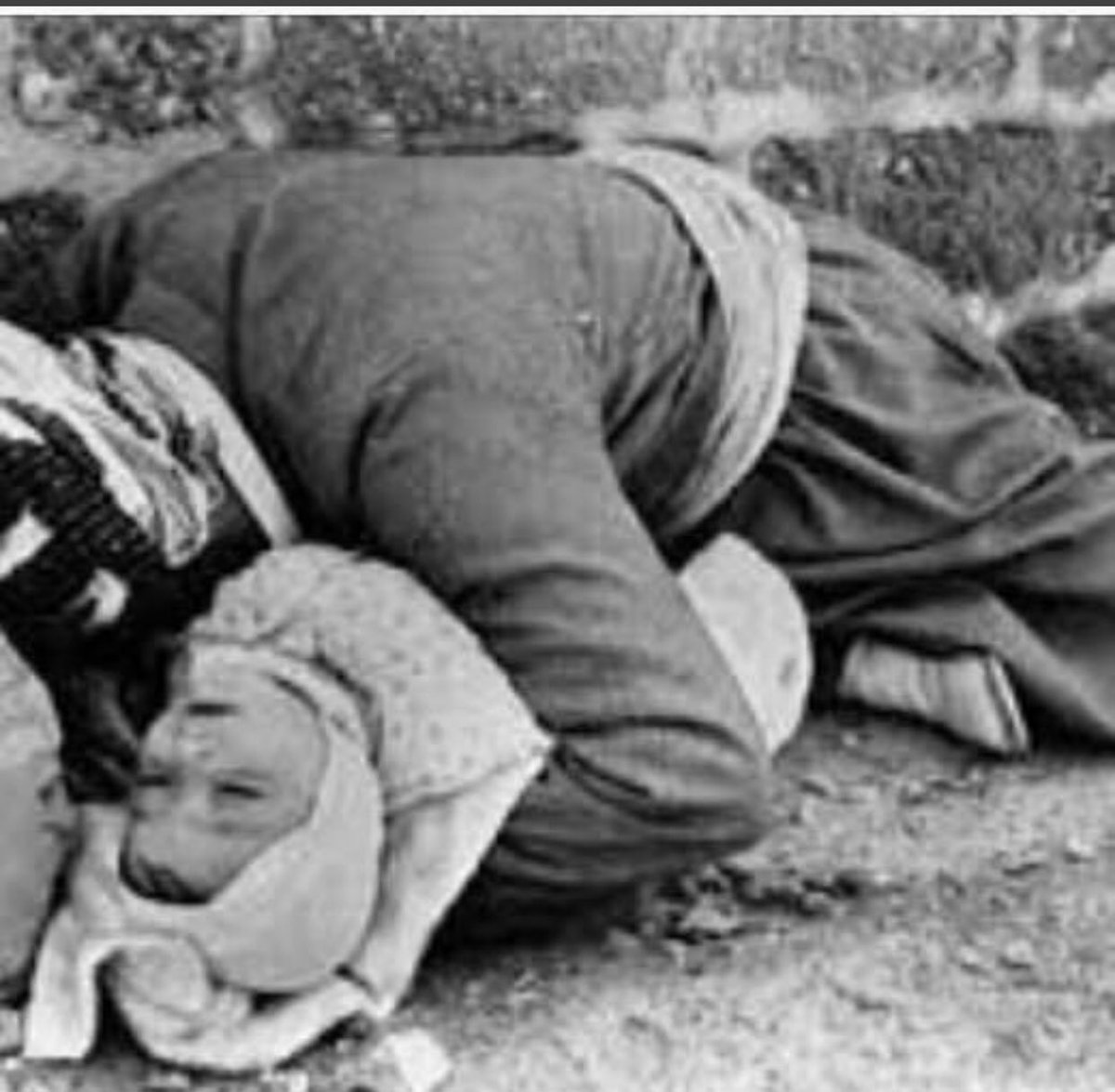 #Halepçekatliamı bir Kürt soykırımıdır.
İnsanlık bir daha böyle bir utanç yaşamasın!