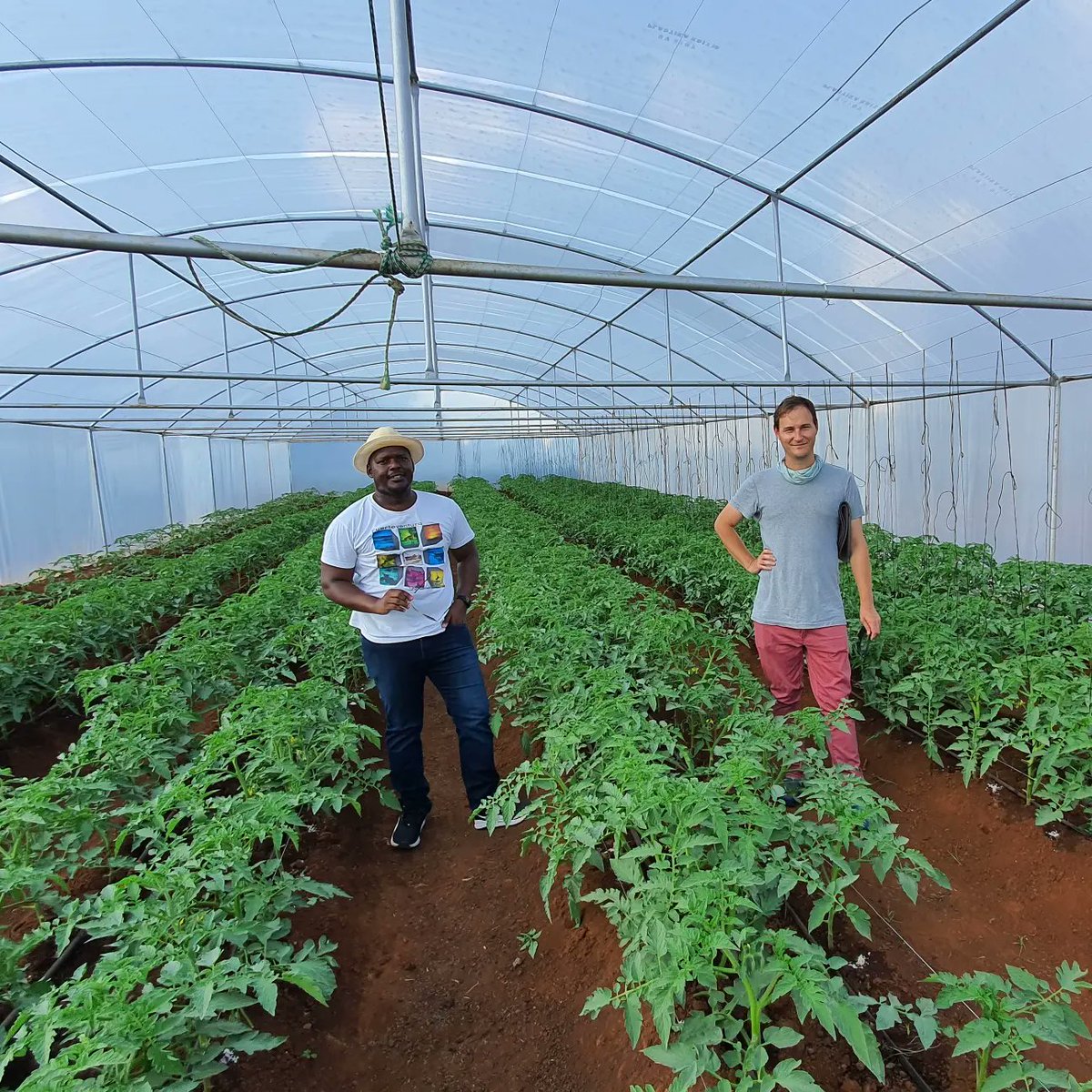 kurongakurima's tweet photo. As Co-Founders of @kurongakurima, @obbila and @JustTendai take a human-centred approach to developing tech solutions for farmers. This means engaging with farmers, to understand their needs and how technology can add value.

#ai
#kuronga
#agriculture
#farming
#milkenmotsepeprize https://t.co/D4reLMDH52