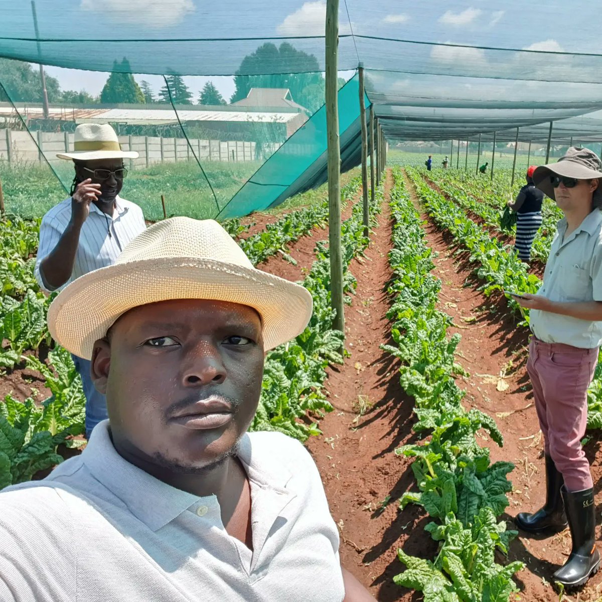 kurongakurima's tweet photo. As Co-Founders of @kurongakurima, @obbila and @JustTendai take a human-centred approach to developing tech solutions for farmers. This means engaging with farmers, to understand their needs and how technology can add value.

#ai
#kuronga
#agriculture
#farming
#milkenmotsepeprize https://t.co/D4reLMDH52