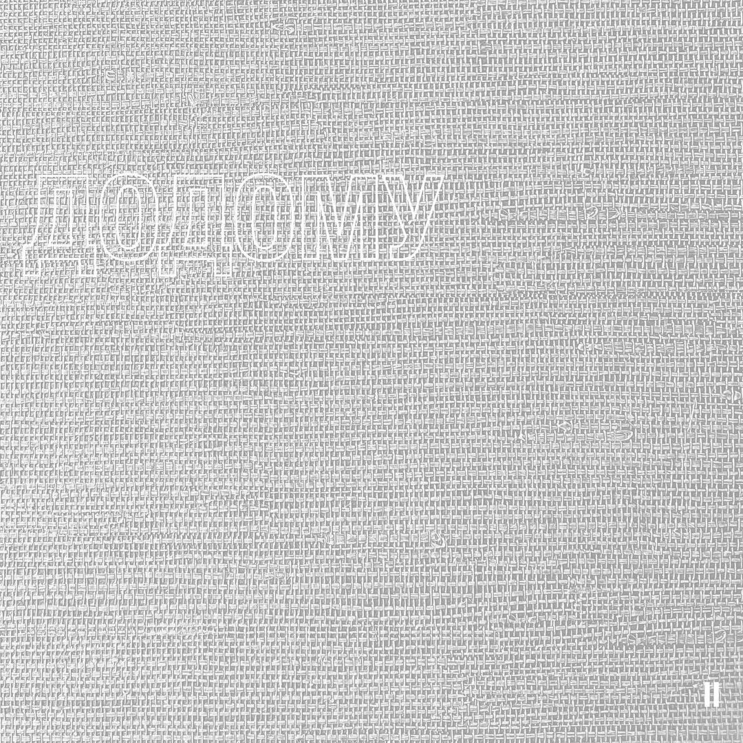 dougthomasmusic's tweet image. Yes, that is a II at the bottom right! We are releasing the second volume of #Додому this Friday — with another selection of great artists!