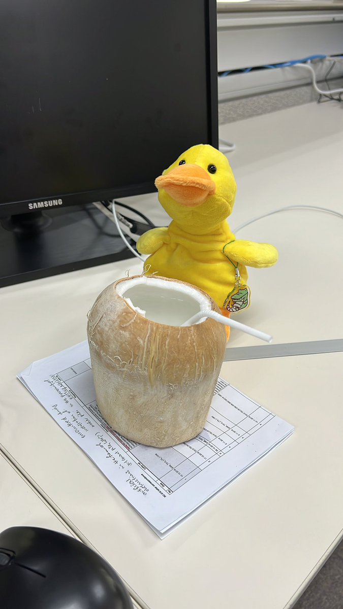 darisaurr's tweet photo. dari’s qotd: when you have no work life balance, bring your life to work

ms ducky is happy https://t.co/DMKZdfRIFi