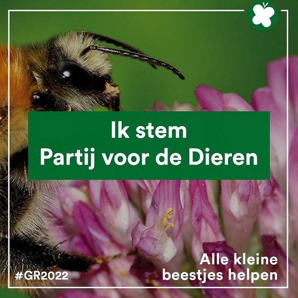 yvdu's tweet photo. Stem voor een betere #toekomst voor onze kinderen! Stem voor #vergroening en #biodiversiteit! Stem voor een beter #klimaat! #PvdD #allekleinebeestjeshelpen #GR2022 #groenegemeente #natuur https://t.co/WSHC9qFuBG