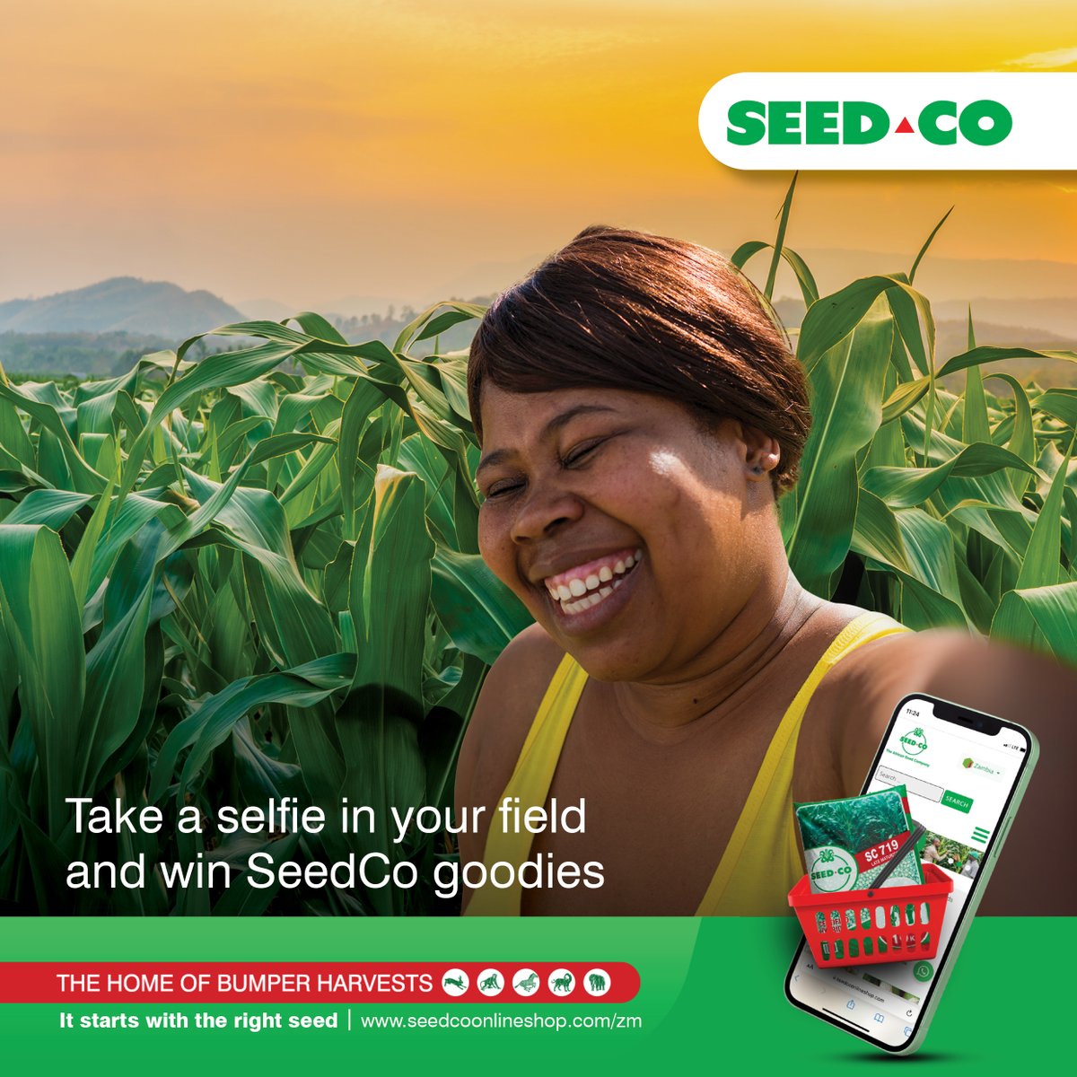SeedCoZambia's tweet photo. Snap & share today and you could be the lucky winner of various Seed Co merchandise. Competition closes 27th April 2022. T’s and C’s apply.
#SC719 #SC657 #SCSpike #TheHomeOfBumperHarvests https://t.co/lYbpMvJOcB