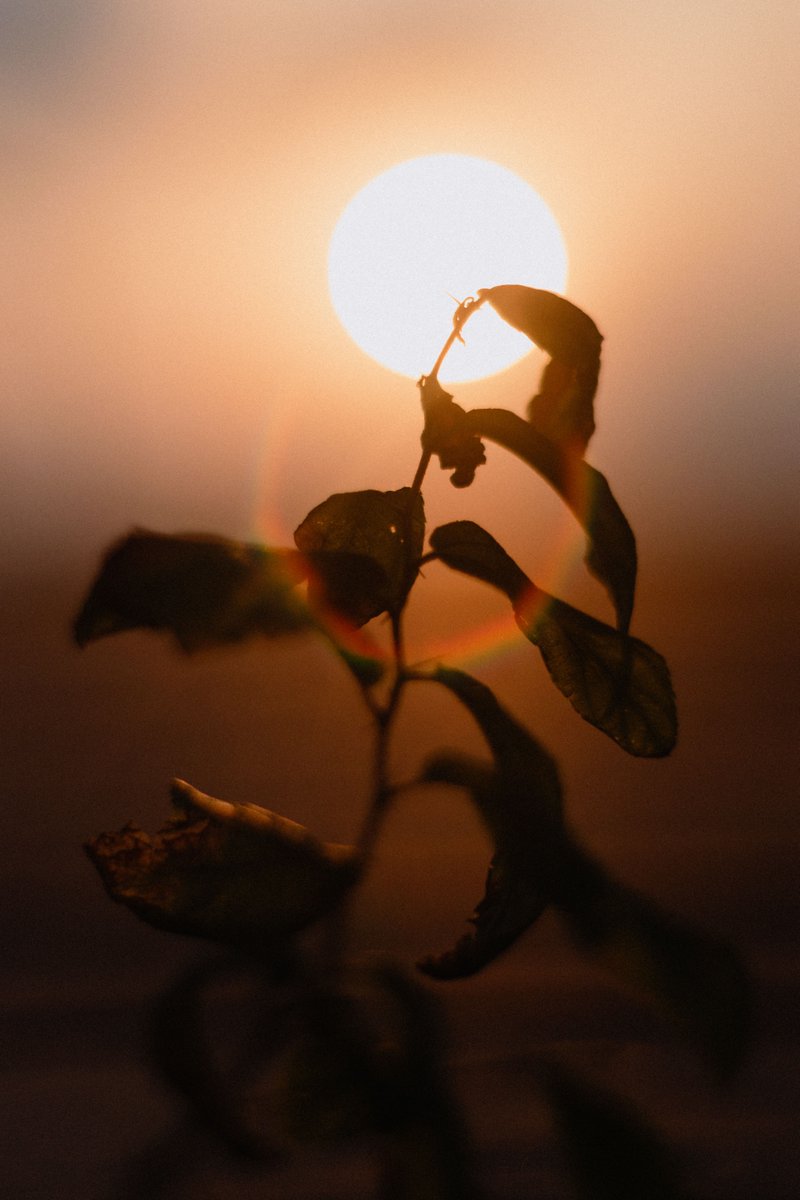 jacquipark68's tweet photo. A thought for Wednesday 
Sometimes you just need to have a break from the things that are stealing your sunshine.
It’s okay to put yourself first. https://t.co/FSeFowFJ3V