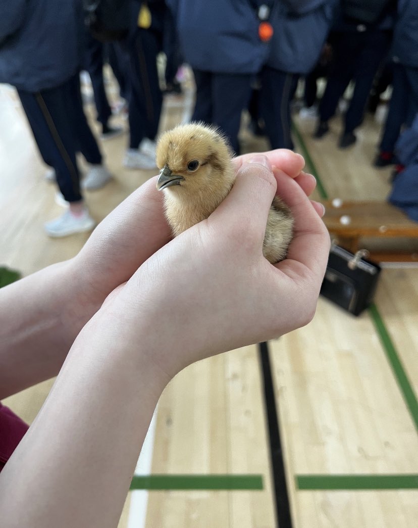 Throwback to this day last week in @Colaistebride 😍😍😍 #cbwellbeing