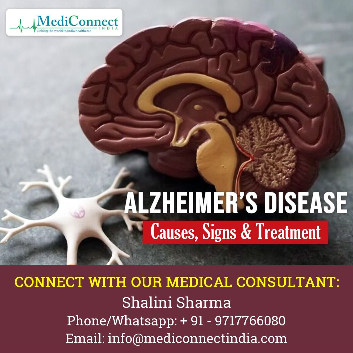 mediconnectind's tweet photo. Take care of your neurological condition at the top-rated hospitals in India. With Medi Connect India, you will get the complete range of medical care for Alzheimer’s disease. https://t.co/RzkfeZY4Ar
Whatsapp📞: +91 9717766080  
📧Email us: info@mediconnectindia.com
#India #Care https://t.co/8bPP0iiXtt