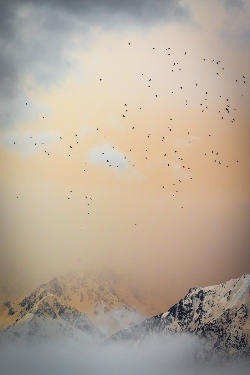 Yesterday we woke up to an apocalyptic sky as the Sahara dust fell on the snow in <a href="/verbier/">verbier</a> . According to @srfmeteo the sand came mainly from the north-west of Africa and took approx 2-7 days to travel from the desert to Europe. I think the car washes will be busy today!