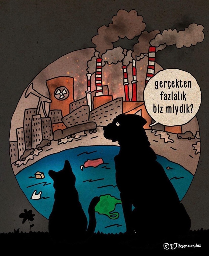 Bir fotoğraf, ne de çok şey anlatmış..!