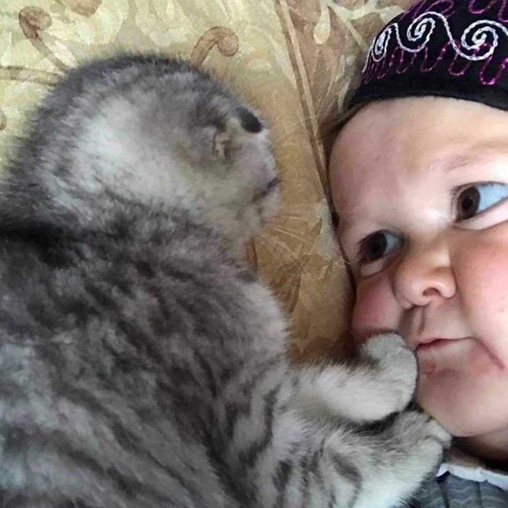 HasbullaHive's tweet photo. find someone who looks at you the way Hasbulla looks at his cat https://t.co/Ws66xlpXz3