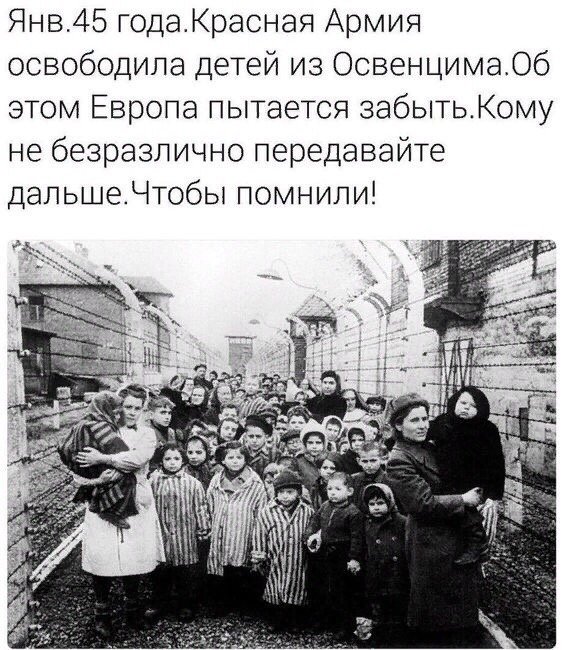 Елена (@antonisiaelena) on Twitter photo 