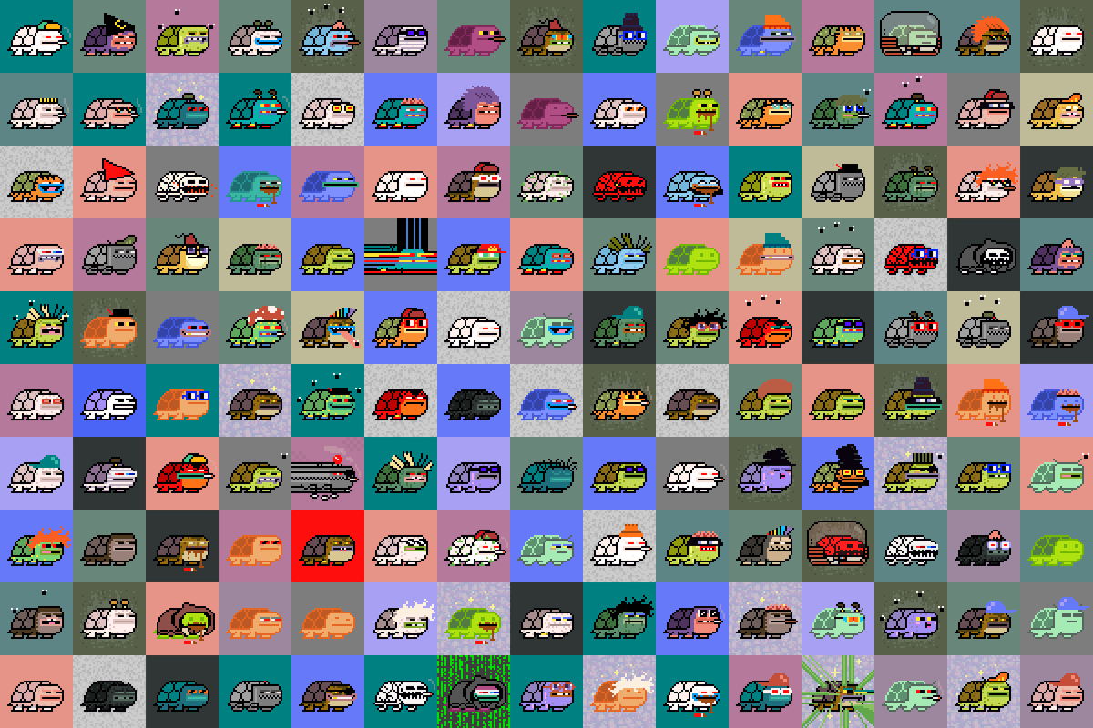 cryp_turtlez's tweet photo. Season 2 is live! Turtlez 151-300 π’
https://t.co/Pj8puKV8PV
1 Turtlez = 1 Toadz
There's some epic 1/1 Turtlez in this drop! LFG
#NFT #NFTCommunity #NFTCollection #cryptoadz #crypturtlez https://t.co/IsGSeXcv1V