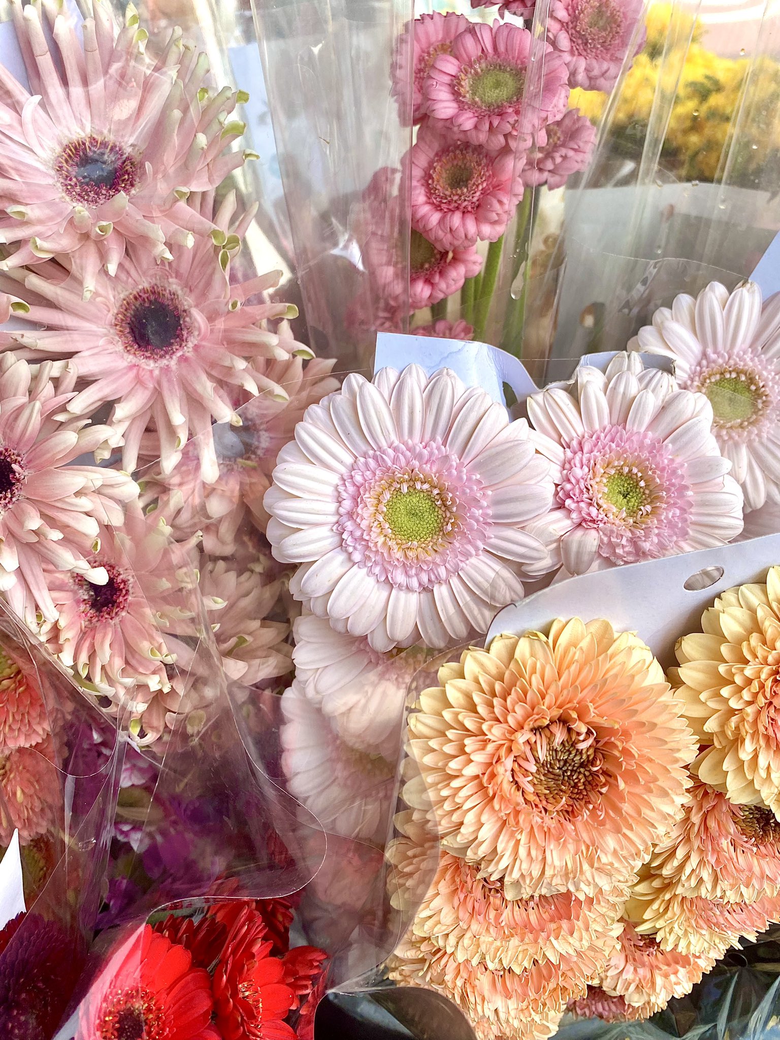 xanadu on Twitter "https//t.co/oeuO9DWGSj" / Twitter