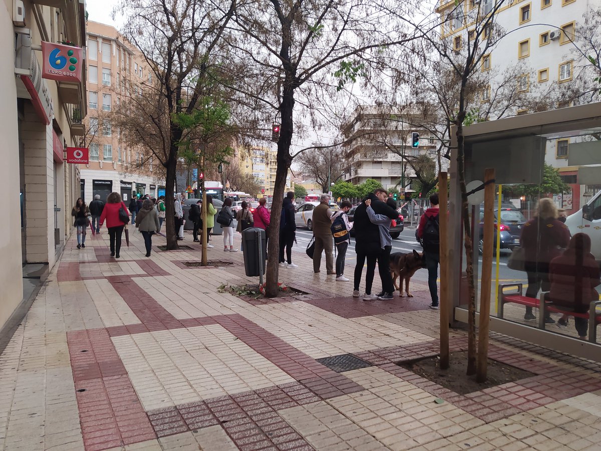 Manchy54's tweet photo. Ve en 🚌, que dice Tussam que es amplio, desahogado, rápido y cómodo...🤨🥴, Aunque la cola parezca la de los refugiados que llegan a Polonia
#bus #autobus #tusssam #caos #sevilla #colas @Ayto_Sevilla @cortes_tussam #transportepublico https://t.co/JmRfDdcUb1