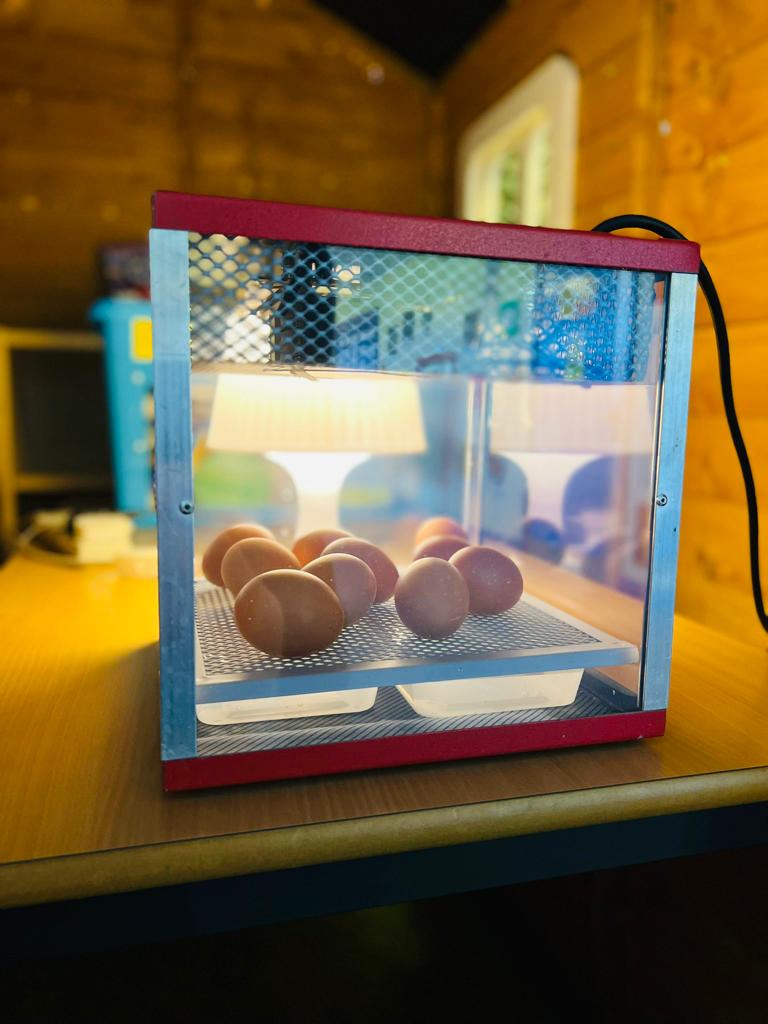 We have just received a delivery from Living Eggs meaning our Y1 pupils are about to engage with a unique 10-day chick hatching experience in school as part of their curriculum. Our school community are also welcome to follow this on our YouTube live feed: youtu.be/0bbPQ7prY2s