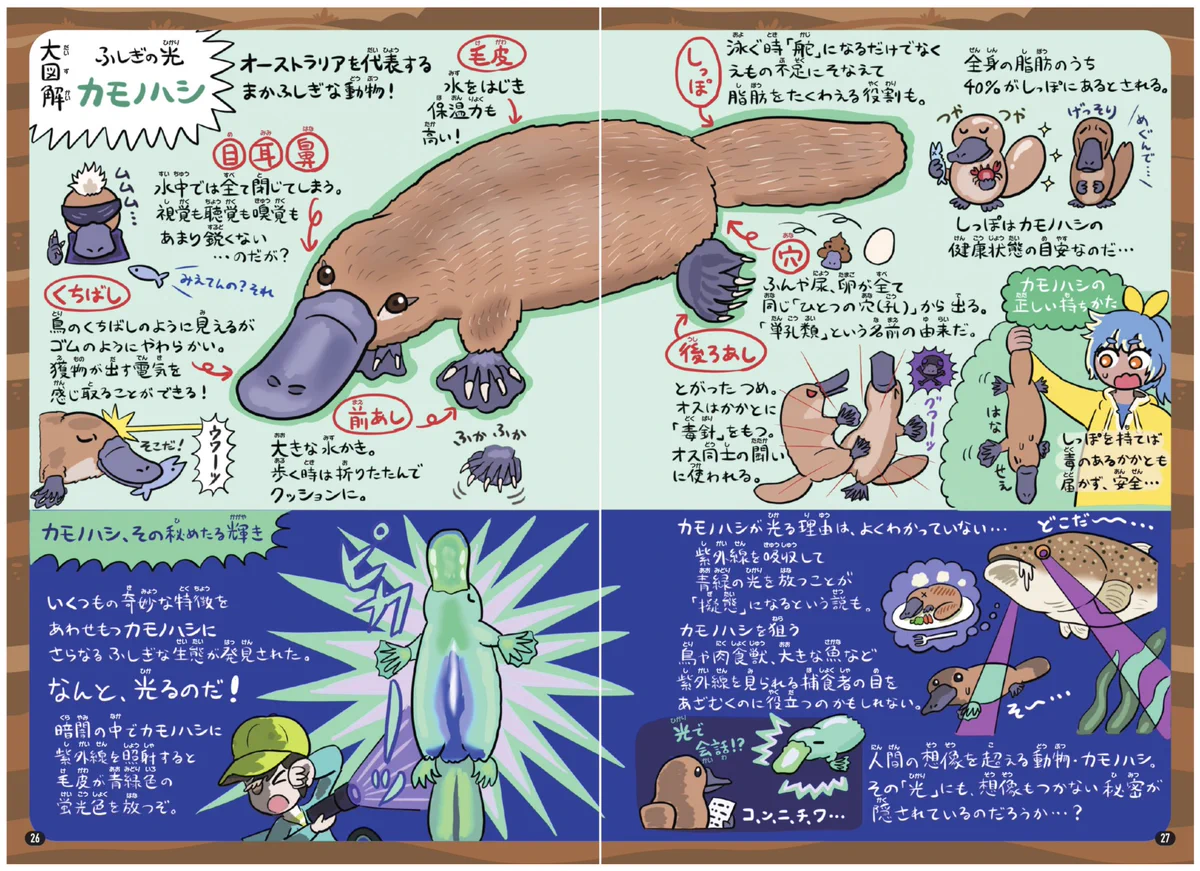 ぬまがさワタリ@特別展「鳥」大阪展（〜6/14） on X: 