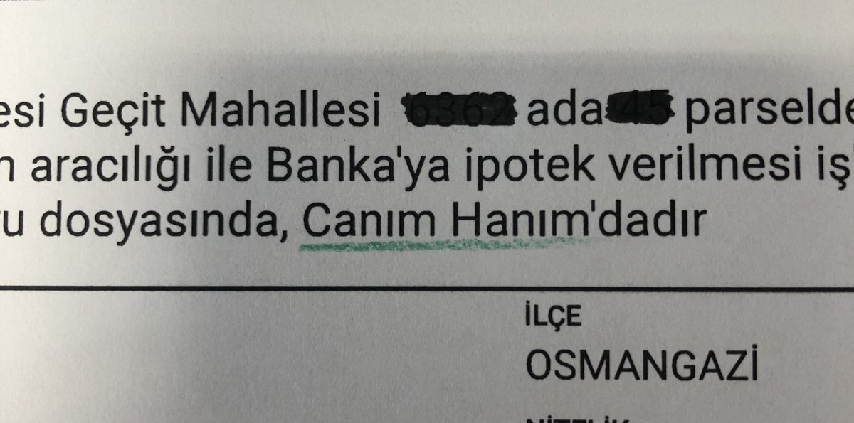Gelen başvuruya  bakın Ahahahhahahah bundan sonra Canım Hanım dersiniz