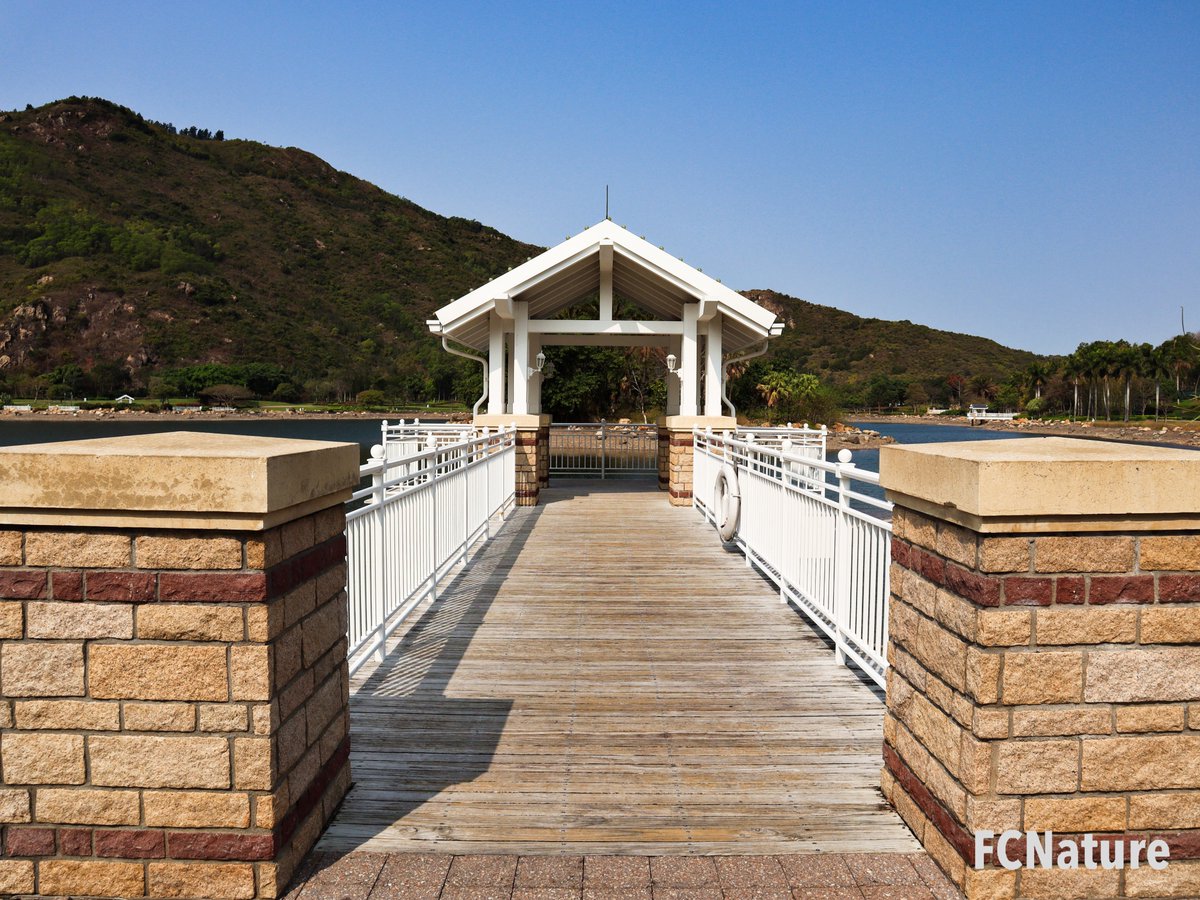 FCNature's tweet photo. Sunny Bay欣澳
#city #cityview #cityscape #cityexplore #citylife #citywalk #walking #sunnybay #FCNature #FCNaturecommunity #FCNaturesports #natureinthecity #explore #photo #holiday #weekend #bestoftheday #picoftheday #hongkong #hk #香港 https://t.co/CyMBBOAxvu