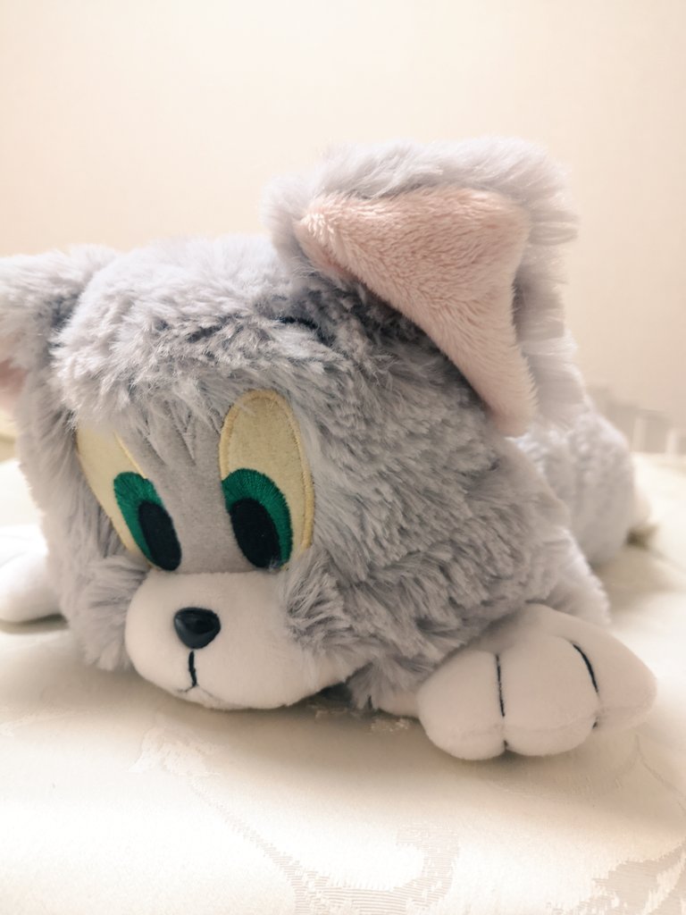 cleardeluneL's tweet photo. TOM＆JERRYのトム💕
数年間ぬいぐるみなんて買ってなかったのに、最近たまたま見つけて一目惚れしちゃった😅
何回見てもなんかくたっとしててかわいい〜😍💕 https://t.co/ugNTChp6qx